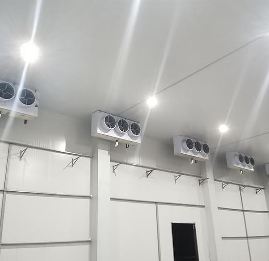 مشروع تبريد الهواء لغرفة تخزين أريكا